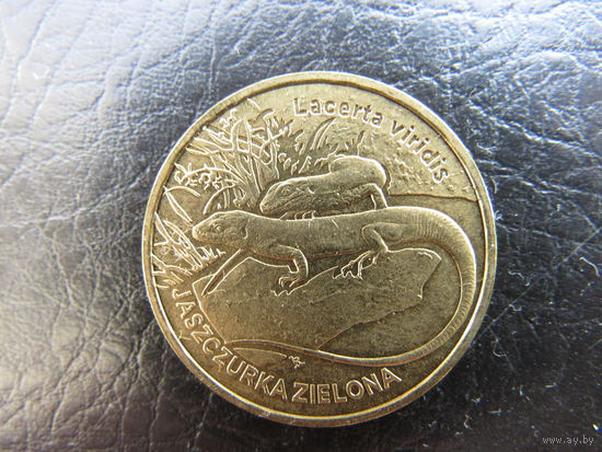 Польша.2 злотых, 2009 Зелёная ящерица. С 20 копеек. Распродажа коллекции. Смотрите другие лоты.