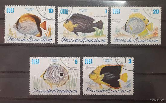 Куба. 1985 год. Фауна. Рыбы (5 марок из серии)