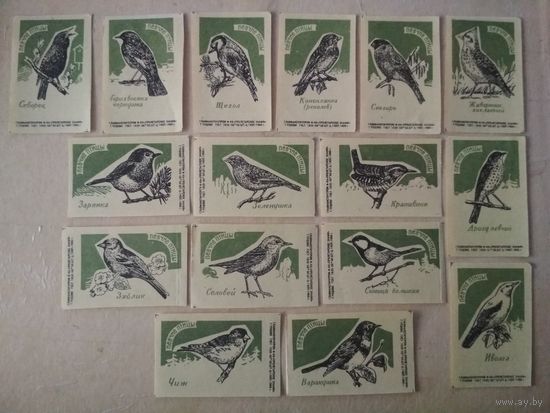 Спичечные этикетки ф.Пролетарское знамя. Певчие птицы. 1966 год