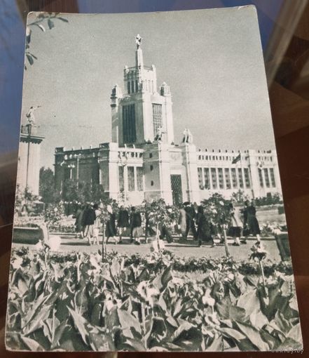 1955 год Москва ВСХВ Павильон областей