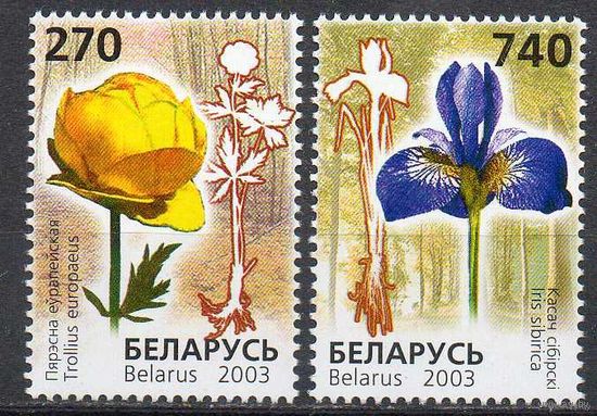 Редкие виды цветы Беларусь Флора 2003 год (513-514)  2 марки ** Красная книга