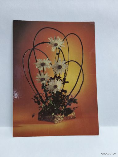 Открытка, 1986г. Поздравляем! Фото Ю. Левянта и А. Медведевой. 14