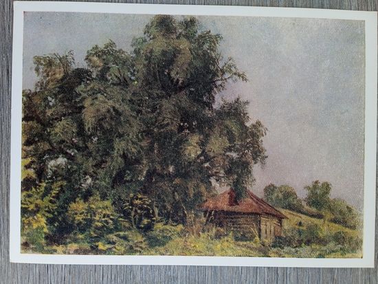 1953. Ванециан. Ясная Поляна. Старая баня