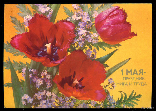 1 мая - праздник мира и труда. Худ. И. Дергилев. 1987