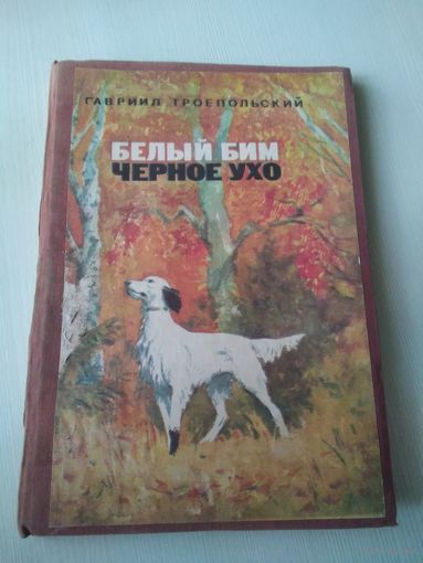 Белый Бим черное ухо/62