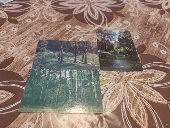 Календарик,Природа,1982