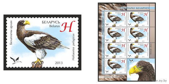 2013 БЕЛАРУСЬ марка или малый лист "Белоплечий орлан" MNH