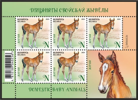 2024г Беларусь MNH  Малый лист "Детеныши домашних животных"