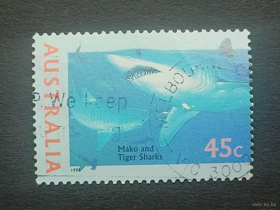 Австралия 1995. Жизнь моря. Тигровая акула