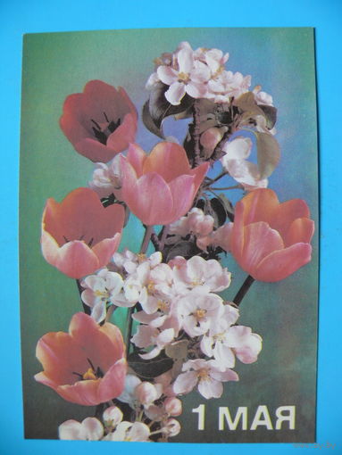 Костенко П., 1 Мая, 1988, чистая.