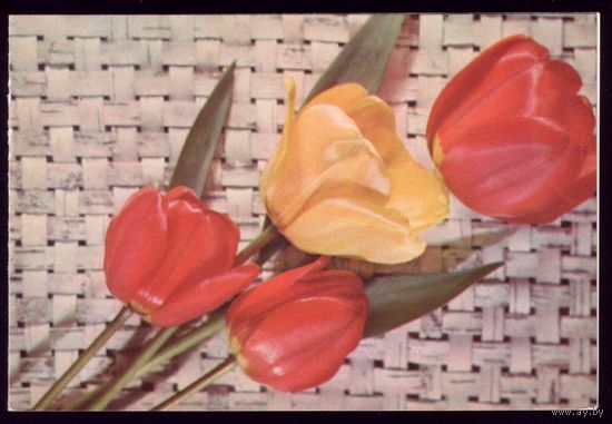 1974 год 8 марта