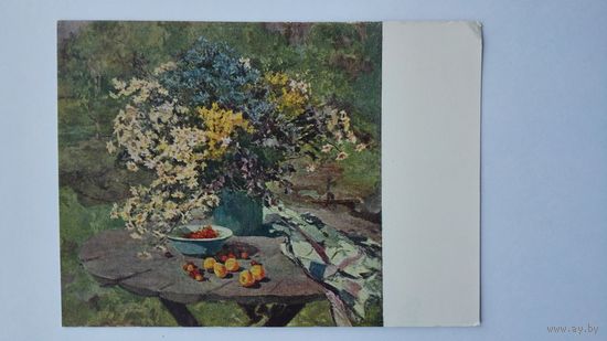 1961. Соколова. Полевые цветы
