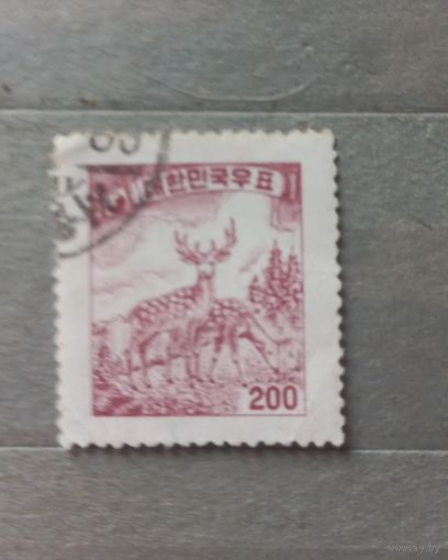 Южная Корея. Фауна. Стандарт.