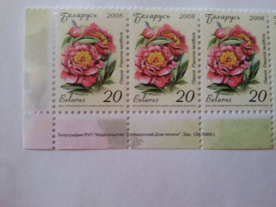Двенадцатый стандарт. 20 р. Зак. 128-2009. Нижняя сцепка (А022)