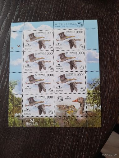 Беларусь 2009 серый гусь  МЛ