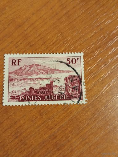 1955 Французская колония Алжир архитектура флора (4-15)