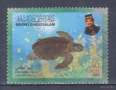[2400] Бруней 2000. Фауна.Черепаха. Гашеная марка.