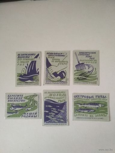 Спичечные этикетки  ф.Красная звезда. Рыбоохрана.1962 год