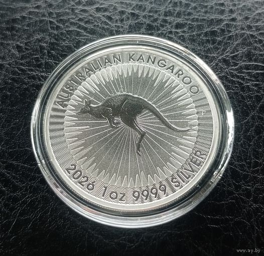 Новинка! Австралия. 1 доллар 2026 года. Кенгуру. Серебро 999,9 пробы. Торг!