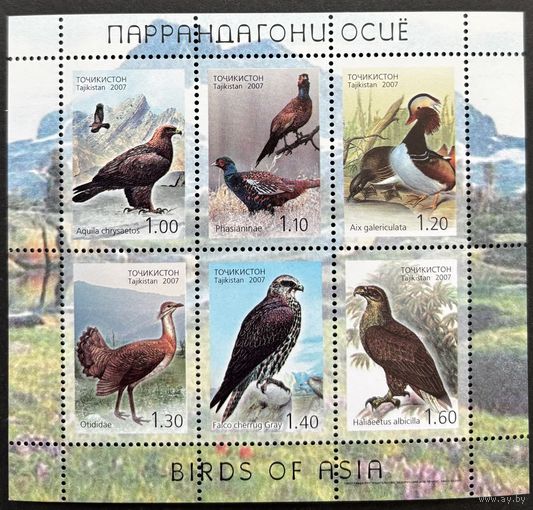 Таджикистан 2007  . Фауна птицы Азии.  Малый лист