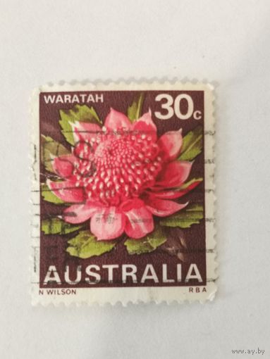 Марка из серии "Цветы" - Telopea speciosissima (Телопея прекрасная)