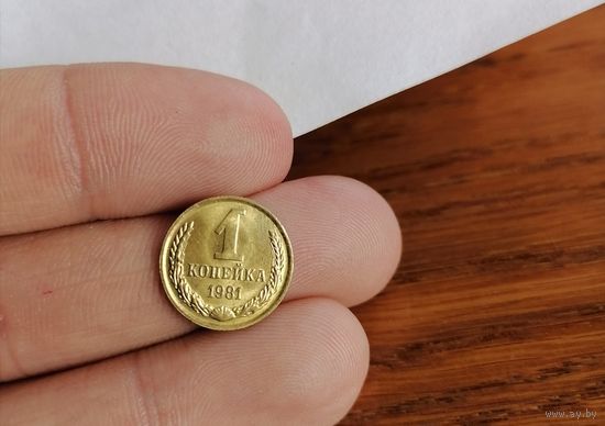1 копейка СССР 1981г