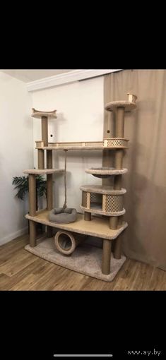 Когтеточка - (Комплекс)