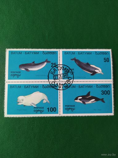 Квартблок Киты и дельфины