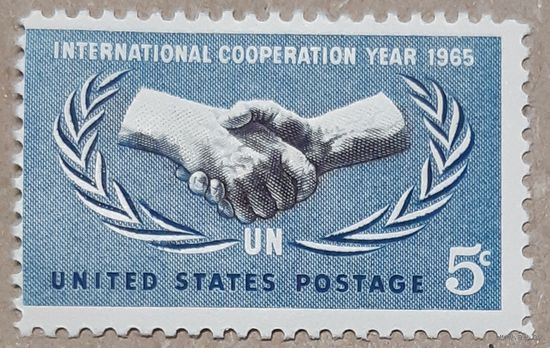 1965 Год международного сотрудничества США