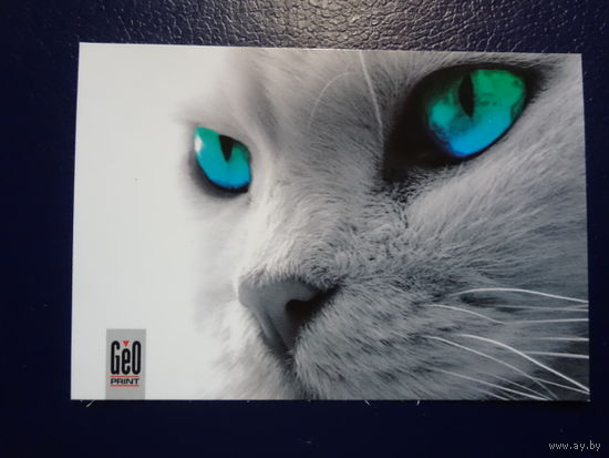 Календарик 2007 г.  GeO print.