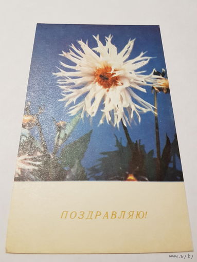 Открытка Поздравляю! 1967 г.