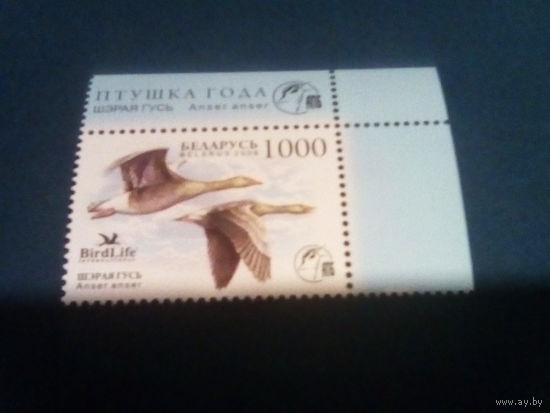 Беларусь 2009 гусь
