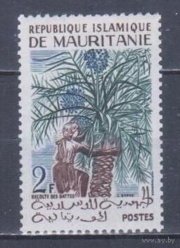 [1111] Маритания 1960. Культура и быт Африки.Сбор полодов пальмы. MNH