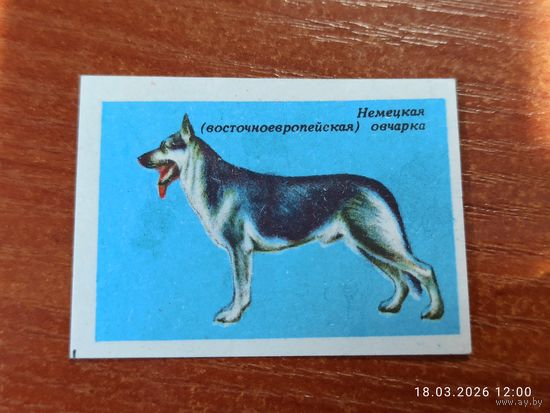 Спичечная этикетка Немецкая овчарка