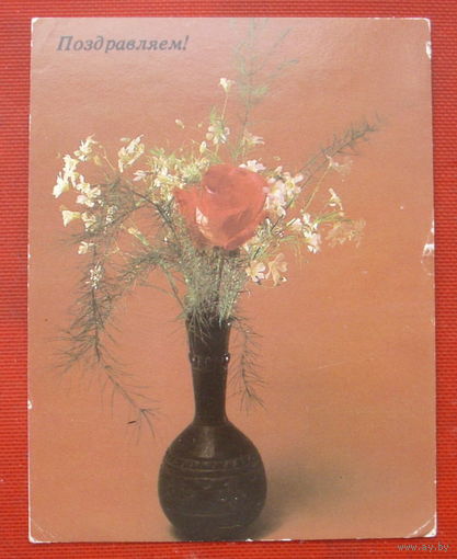 Поздравляем! Чистая. 1986 года. Фото Савалова. Мини.