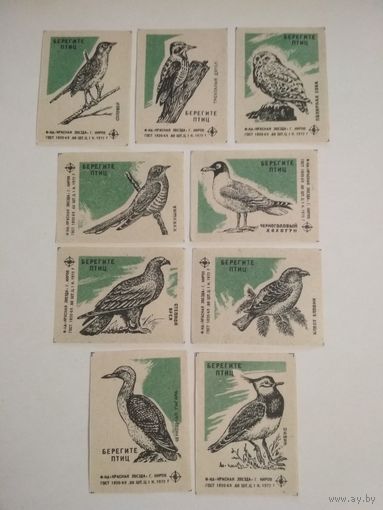 Спичечные этикетки ф.Красная звезда. Берегите птиц. 1972 год