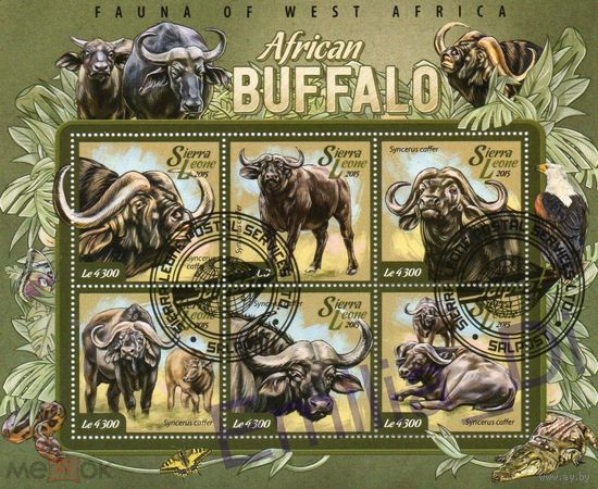 ЛИСТ ФАУНА животные  СТО