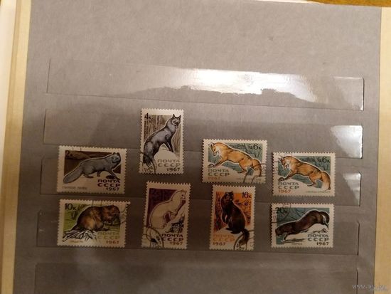 1967 СССР Загорский 3442-3448 фауна гашеная полная серия MNH** + разновидность цвета марки 3444 (c-11)