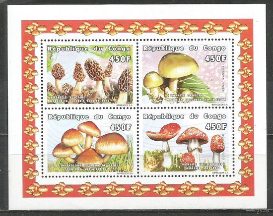 Конго(Республика). Грибы. 1999г. Mi#1633-36. Klb.