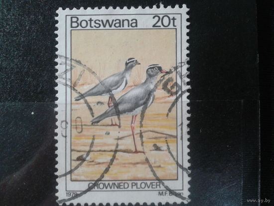 Ботсвана,1978. Венценосный чибис. Mi-2,5 евро гаш.