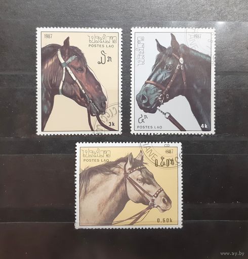 Лаос. 1987 год. Фауна. Лошади (114)