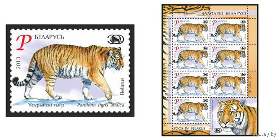2013 БЕЛАРУСЬ марка или малый лист "Уссурийский тигр" MNH