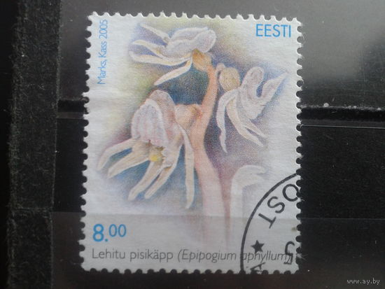 Эстония 2005 Цветы, концевая Михель-1,2 евро гаш