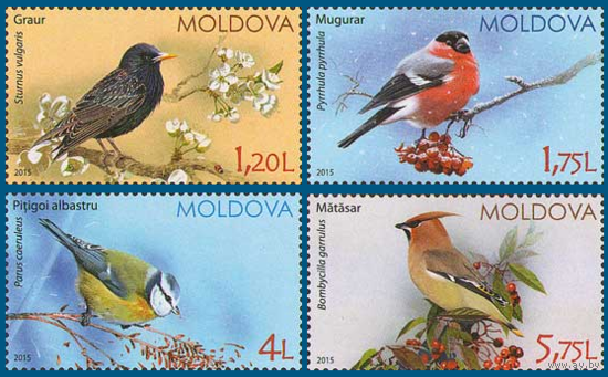 Молдова  2015. Фауна. Птицы 4 марки (559)