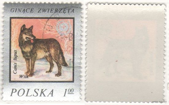 Польша 1977.05.12 (Mi)PL2504 марка из сер.Вымирающие животные - 1,00zl Волк (Canis lupus) (г) (a1-12 ТОРГ/ВАША ЦЕНА
