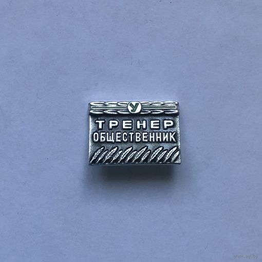 Тренер общественник