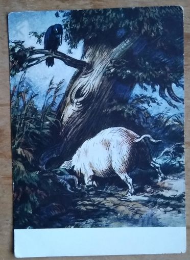 Таранов М. Открытки из цикла "Басни Крылова". 1956 г. Чистая. 2 шт. Цена за 1
