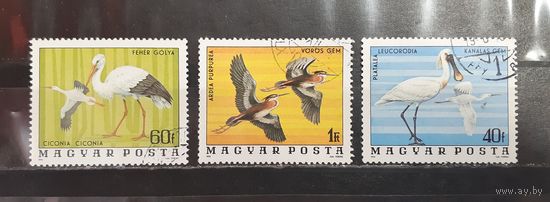 Венгрия. 1976 год. Фауна. Птицы (1241)