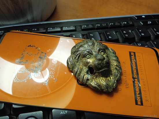 Дверная ручка голова льва.