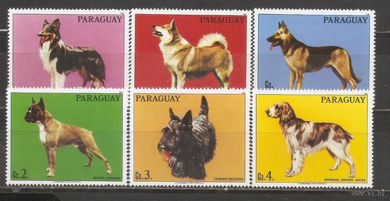 ФФ2 Парагвай 1986 Собаки